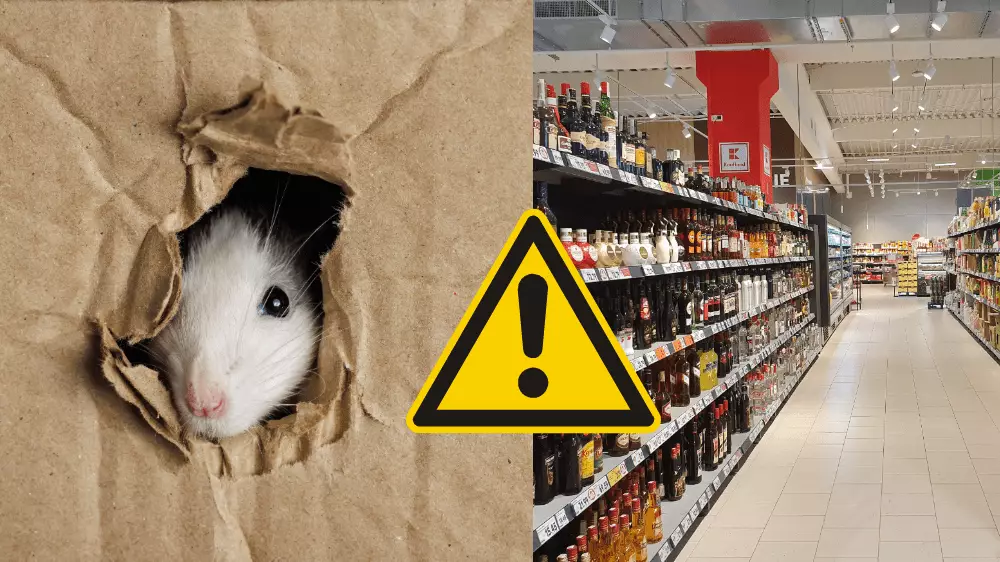 Zákazníci videli myši v slovenských supermarketoch