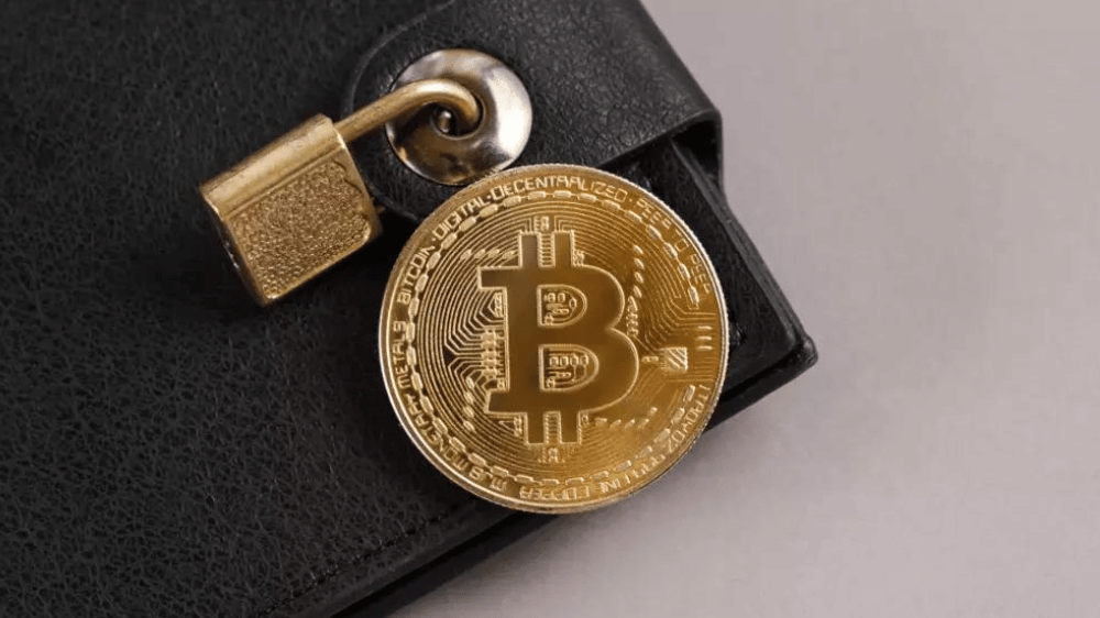 Bezpečnosť kryptomien