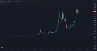 Bitcoin dlhodobo rastie