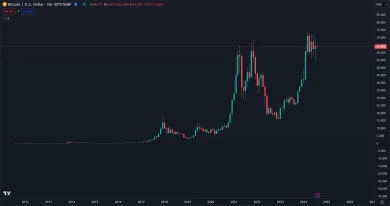 Bitcoin dlhodobo rastie