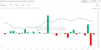 Čistý pohyb Bitcoinov