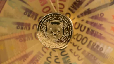 Dvaja bratia sa z ničoho nič stali milionármi