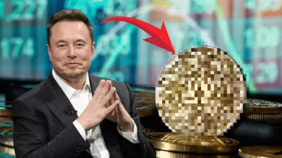 Elon Musk a kryptomena Cardano