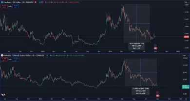 Masívne pády kryptomien
