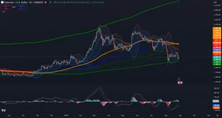Prehnané používanie indikátorov