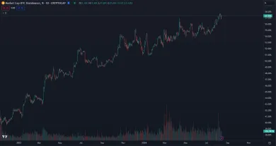 Rast bitcoinovej dominancie