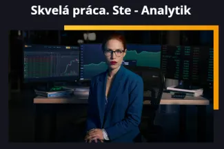 Typ investora analytik