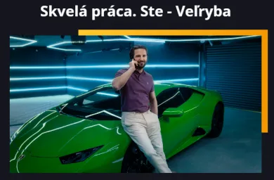 Typ investora veľryba