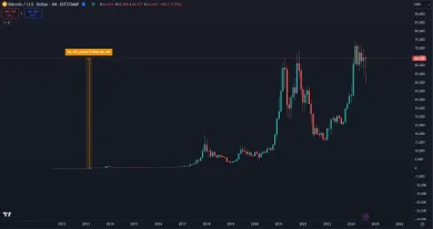 Zhodnotenie BTC od roku 2013