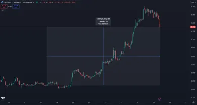 Zhodnotenie FET za posledný týždeň