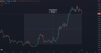 Zhodnotenie POPCAT za posledný týždeň