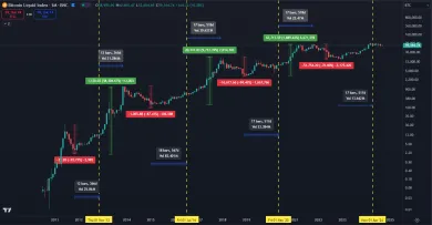 Bitcoin je najziskovejšie aktívum na svete