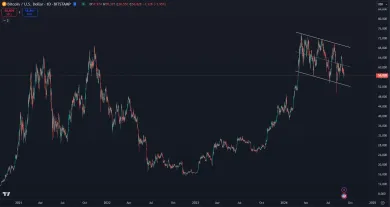 Bitcoin klesá už pol roka