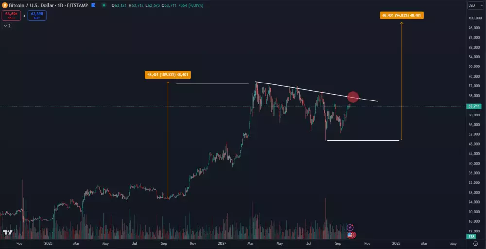 Bitcoin na ceste k 100 000 dolárom