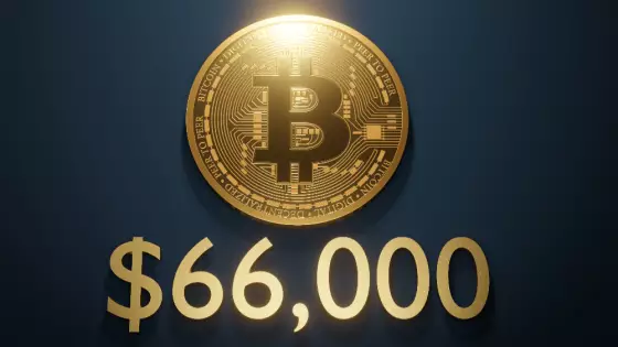 Bitcoin prekonal 66 000 dolárov