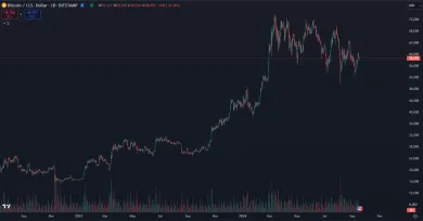Bitcoin už pol roka klesá