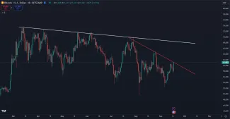 Cena stojí na rezistencii