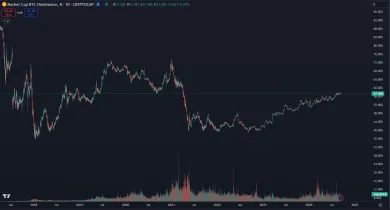 Dlhodobý graf bitcoinovej dominancie