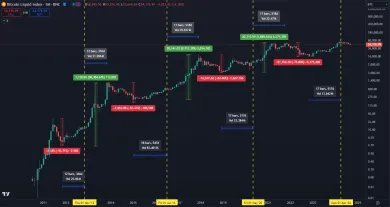 Extrémna volatilita Bitcoinu