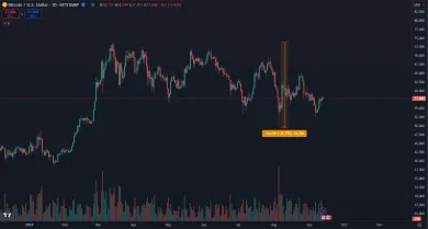 Pohyb Bitcoinu v roku 2024