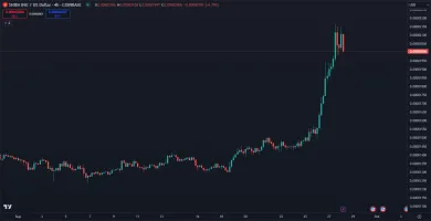 Vysoké zhodnotenie Shiba Inu