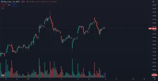 Akcie Vistra za deň klesli o 10 %