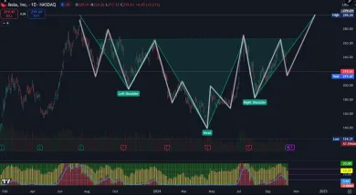 Analýza akcií TSLA, ktoré môžu stúpnuť na 300 dolárov