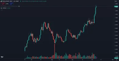 Cenový nárast Popcat