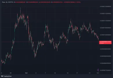 Cenový vývoj PEPE za posledný mesiac