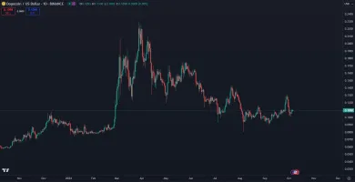 Dogecoin a jeho trhová cena