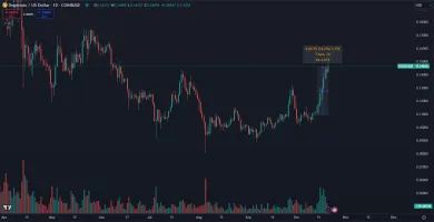 Dogecoin patrí medzi najziskovejšie meme coiny