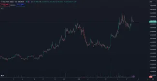 ENA stúpla za mesiac o vyše 100 percent