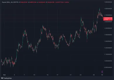 Kryptomena POPCAT stále rastie