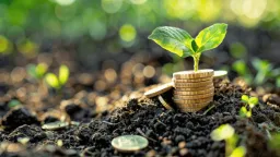 Mikroinvestovanie s malým kapitálom