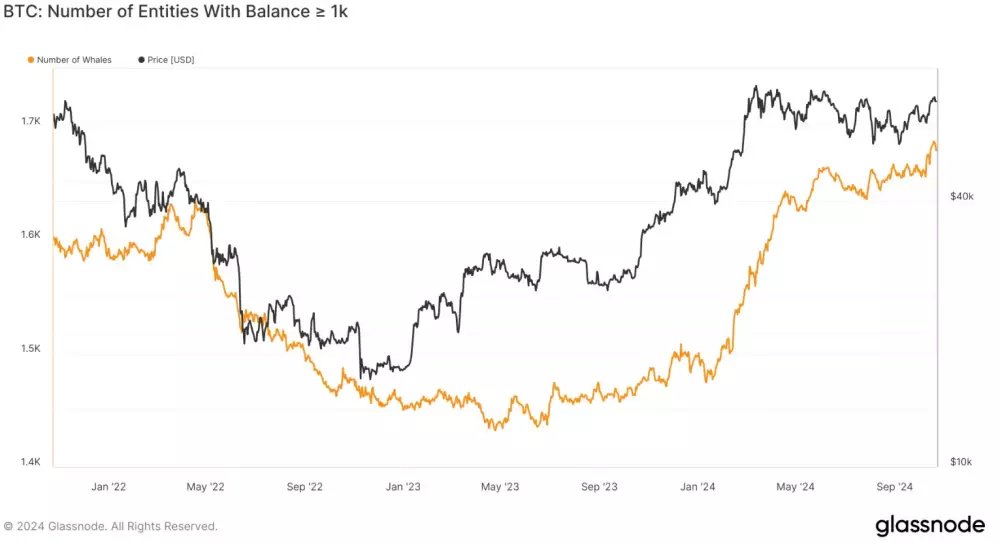 Počet držiteľov nad 1 000 BTC