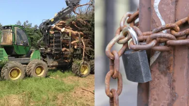 Slovenská drevárska firma skončila v konkurze