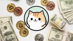 ZDEX má potenciál rastu