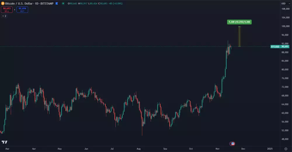 Bitcoin na ceste ku 100 000