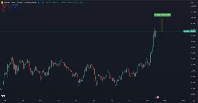 Bitcoin na ceste ku 100 000