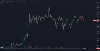 BNB v tomto roku prekonalo historické maximum