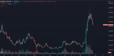 BONK dosahuje vysoké zhodnotenie