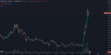 Cardano láme rekordy ziskovosti