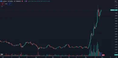 Cardano pokračuje v mohutnom raste