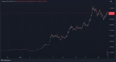 Cardano stále stúp