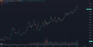 Dlhodobý rast bitcoinovej dominancie