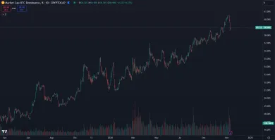 Dlhodobý rast bitcoinovej dominancie