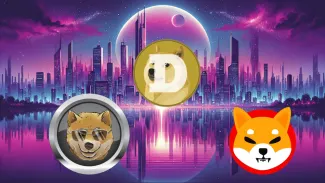 DOGEN nasleduje DOGE