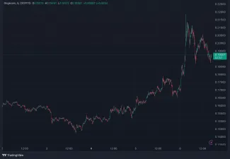 Explozívny rast Bitcoinu ovplyvnil aj Dogecoin