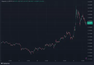 Explozívny rast Bitcoinu ovplyvnil aj Dogecoin