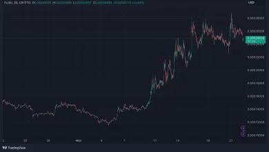 Floki sa blíži ku kľúčovej úrovni